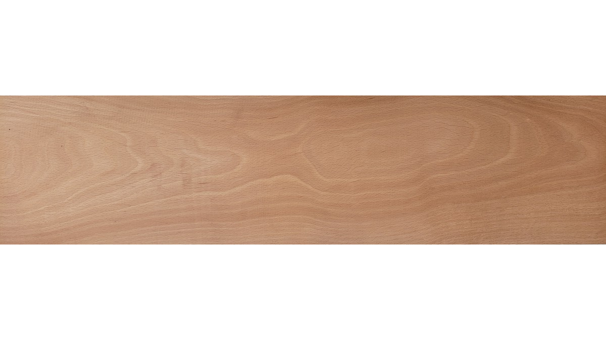 Beech