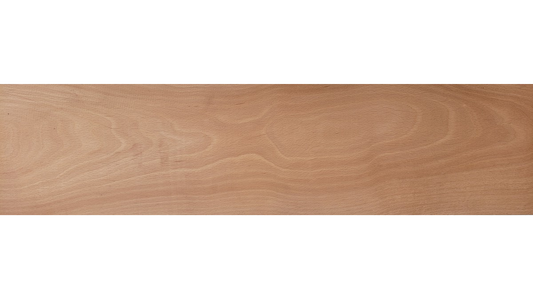Beech