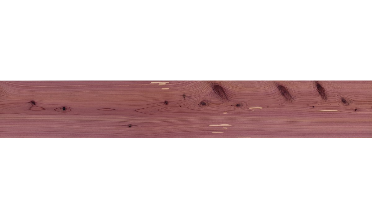Cedar (Aromatic)
