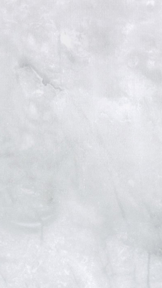 RHINO WHITE